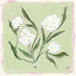Sage