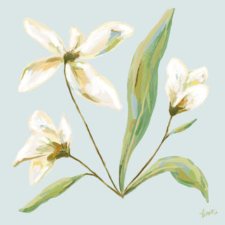 a bouquet of white flowers with green leaves against a light blue background.