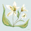 No. 02