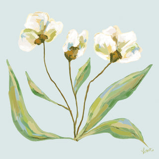 three white flowers with green stems and leaves against a light blue background.